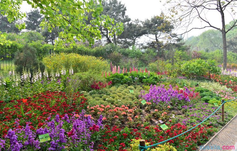 正大制管組織員工開展五一春游活動(dòng)